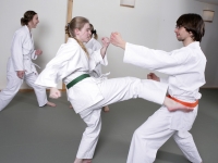 karate6279
